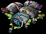 Click image for larger version

Name:	bottom_tmnt_final.jpg‎
Views:	17
Size:	119.8 KB
ID:	60937