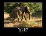 Click image for larger version

Name:	wtf4.png‎
Views:	16
Size:	390.5 KB
ID:	64796