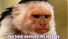 Click image for larger version

Name:	Annoyed Monkey.jpg‎
Views:	105
Size:	35.7 KB
ID:	11786