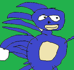 sanic