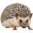 Hedgehog