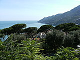 Click image for larger version

Name:	Italy 2010 052.jpg
Views:	12
Size:	1.20 MB
ID:	65051