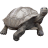 Name:  tortoise.png
Views: 59
Size:  4.0 KB