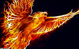 Click image for larger version

Name:	Fractal_Phoenix_by_aceman67.jpg
Views:	188
Size:	1.02 MB
ID:	75332