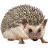 Name:  hedgehog.png
Views: 3
Size:  5.5 KB