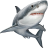 Name:  shark.png
Views: 56
Size:  4.2 KB