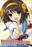 Haruhi Suzumiya Series Cover