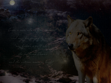 Click image for larger version

Name:	wolfmanip8.png
Views:	116
Size:	1.06 MB
ID:	84775