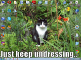 Click image for larger version

Name:	Stalker Cat Desktop.png
Views:	62
Size:	1.18 MB
ID:	51168