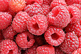 Click image for larger version

Name:	800px-Raspberries05.jpg
Views:	20
Size:	166.5 KB
ID:	63323