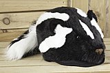 Click image for larger version

Name:	Skunk-Hat.jpg
Views:	43
Size:	139.3 KB
ID:	58758