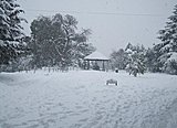 Click image for larger version

Name:	snow10.JPG‎
Views:	12
Size:	68.8 KB
ID:	51273