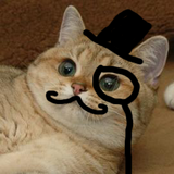 Click image for larger version

Name:	gentleman_cat__3_by_elbichopt-d42df2v.png
Views:	9
Size:	88.0 KB
ID:	52339