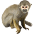 Name:  monkey.png
Views: 6
Size:  5.1 KB