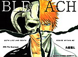 Bleach Episode 200 English Dubbed