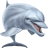 Name:  dolphin.png
Views: 3
Size:  4.5 KB