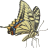 Name:  butterfly.png
Views: 4
Size:  4.0 KB