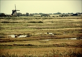 Click image for larger version

Name:	Dutch_Landscape_by_FennaChan.png
Views:	11
Size:	712.3 KB
ID:	42688