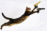 Click image for larger version

Name:	cat-funny-gunfunny-cats-with-guns---jobspapa-gxnxn0z6.jpg
Views:	39
Size:	76.6 KB
ID:	81669