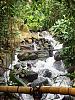 Click image for larger version

Name:	Tropical Waterfall ~ Eden Project.JPG‎
Views:	62
Size:	132.1 KB
ID:	19777