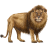 Name:  lion.png
Views: 3
Size:  4.4 KB