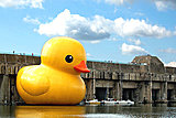 Click image for larger version

Name:	Rubber_Dick-man-and-van-giant-rubber-duck.jpg
Views:	14
Size:	61.4 KB
ID:	55521