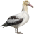 Name:  albatross.png
Views: 4
Size:  3.4 KB