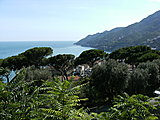 Click image for larger version

Name:	Italy 2010 052.jpg
Views:	11
Size:	1.20 MB
ID:	65051