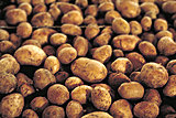 Click image for larger version

Name:	Potatoes.jpg
Views:	23
Size:	96.8 KB
ID:	77745