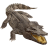 Name:  crocodile.png
Views: 4
Size:  4.2 KB