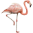 Name:  flamingo.png
Views: 3
Size:  2.9 KB