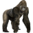 Name:  gorilla.png
Views: 4
Size:  4.7 KB