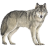 Name:  wolf.png
Views: 62
Size:  4.6 KB