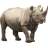Name:  rhino.png
Views: 3
Size:  4.7 KB