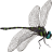 Name:  dragonfly.png
Views: 3
Size:  3.9 KB