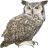 Name:  owl.png
Views: 4
Size:  5.2 KB