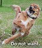 Click image for larger version

Name:	do-not-want-dog.jpg
Views:	31
Size:	21.5 KB
ID:	50375