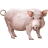 Name:  pig.png
Views: 3
Size:  4.0 KB