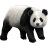 Name:  panda.png
Views: 3
Size:  4.3 KB