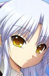 Kanade-chan's Avatar