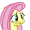 Mlp Fluttershy01