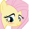 Mlp Fluttershy06